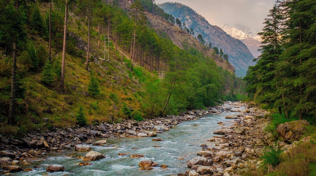The beautiful Parvati River flowing across Parvati Valley in Himachal Pradesh.
#LifeAtExpedia #River