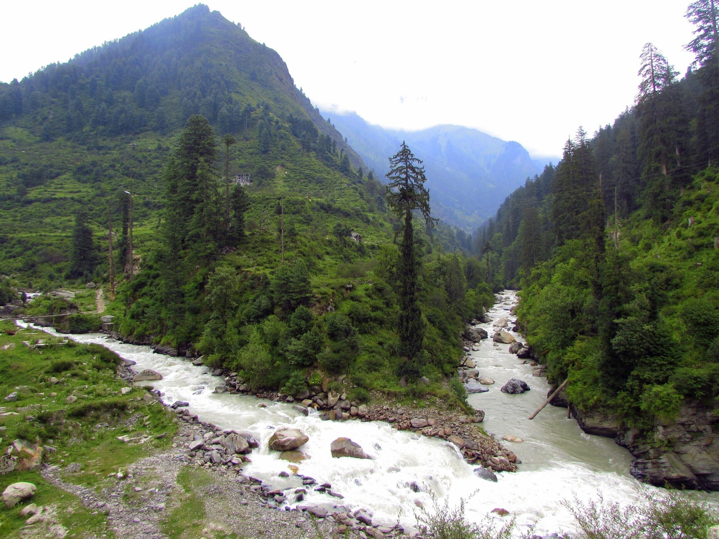 A river flowing through a forested valley with mountains in the background.