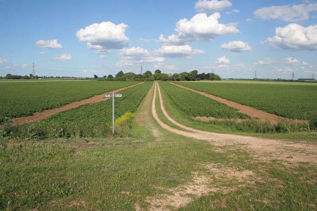 From the Welland floodbank There is a bridleway along the floodbank here and a footpath along the track straight ahead. Crowtree Farm is among the trees in the centre.