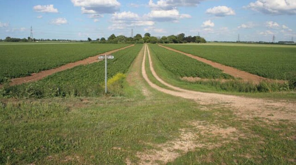 From the Welland floodbank There is a bridleway along the floodbank here and a footpath along the track straight ahead. Crowtree Farm is among the trees in the centre.