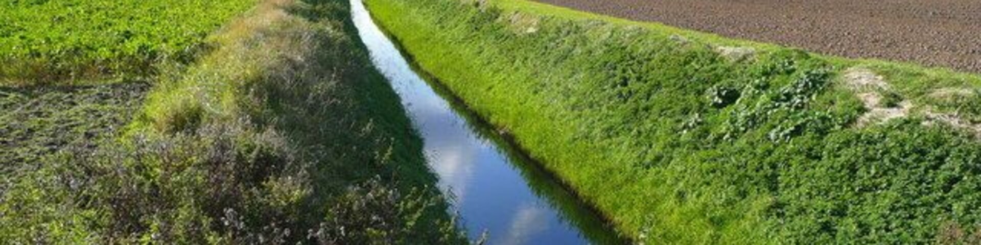 Un estrecho canal de agua bordeado por vegetación y campos verdes.