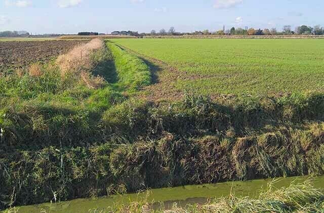 A rural landscape with a field, a narrow water channel, and a distant tree line.
