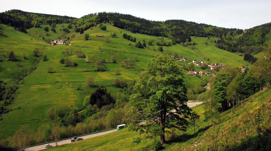 Sceneric Schwarzwald with meadows and forests just North of Todtnau
