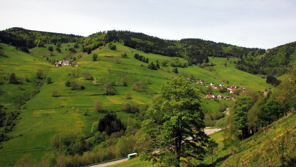 A green valley with scattered houses and a road.