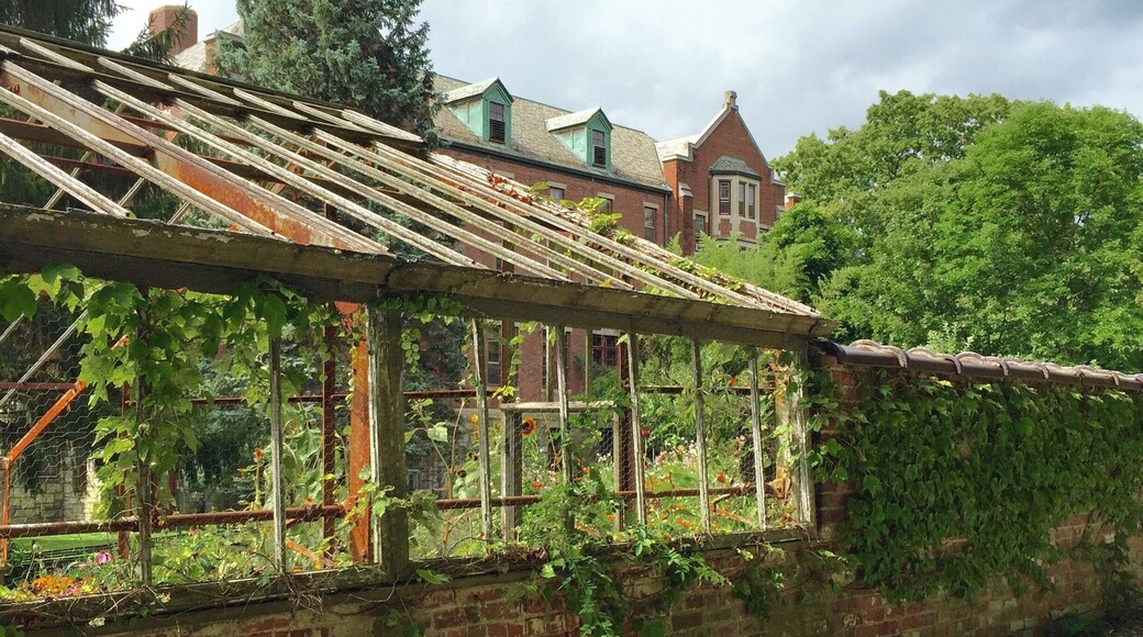 Such a peaceful place. #Patterns