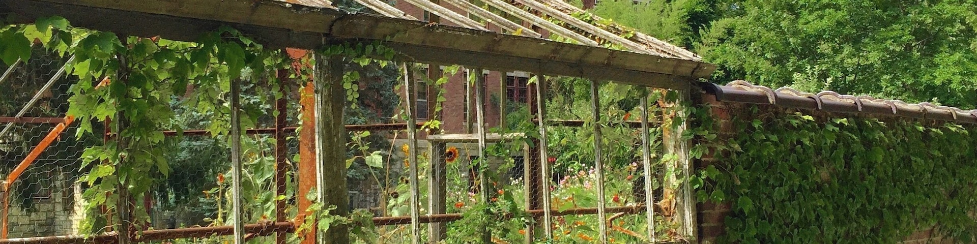 Such a peaceful place. #Patterns