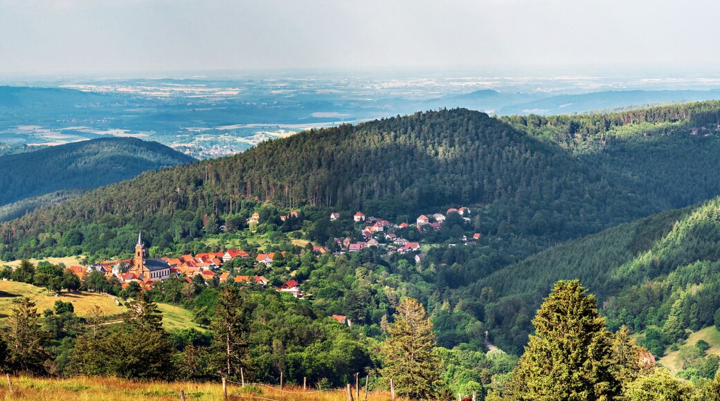 Comuna nueva de Servance-Miellin