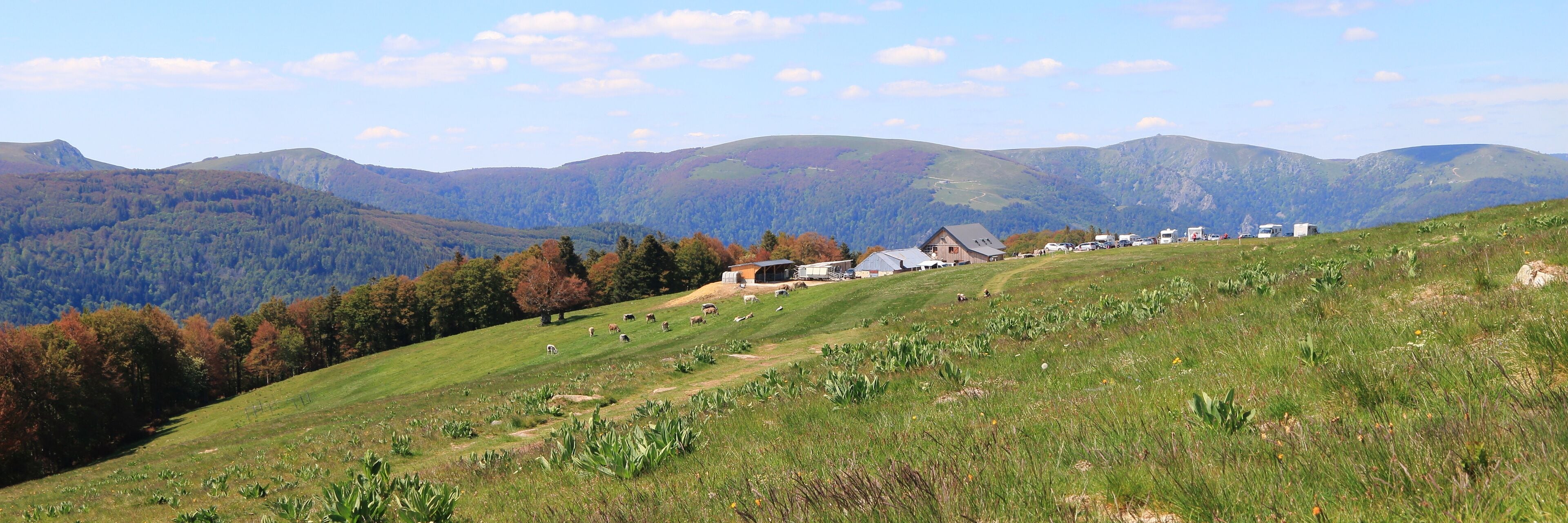 A rural landscape with rolling hills, a barn, and a line of parked vehicles.