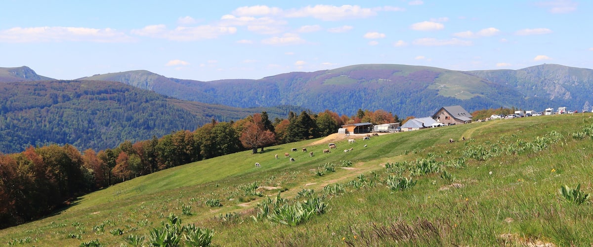 A rural landscape with rolling hills, a barn, and a line of parked vehicles.