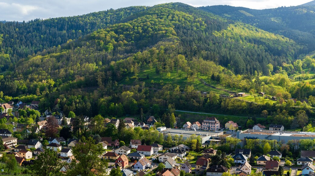 Comuna nueva de Servance-Miellin