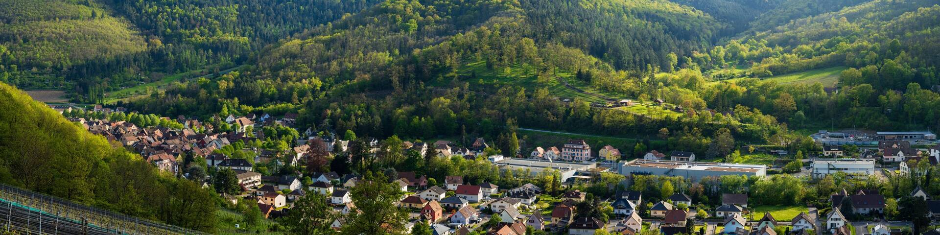 L'âme des Vosges Alsaciennes : paysage enchanteur de Kaysersberg Vignoble, CeA, Alsace, Grand Est, France