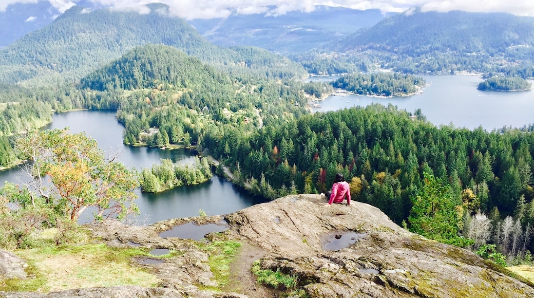 Pender Hill, Sunshine Coast