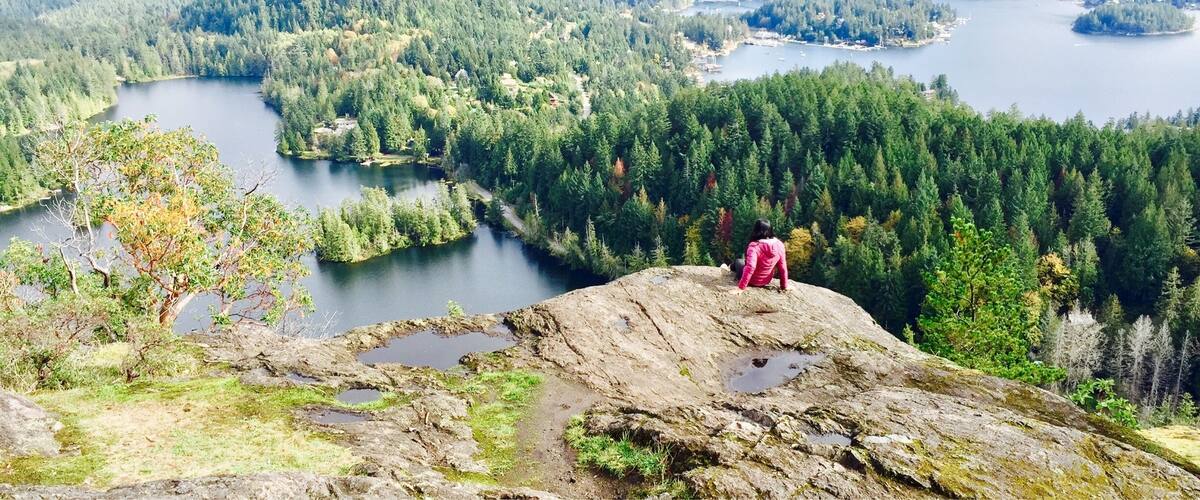 A mountainous landscape with a lake surrounded by dense forests and a person standing on a rocky outcrop.