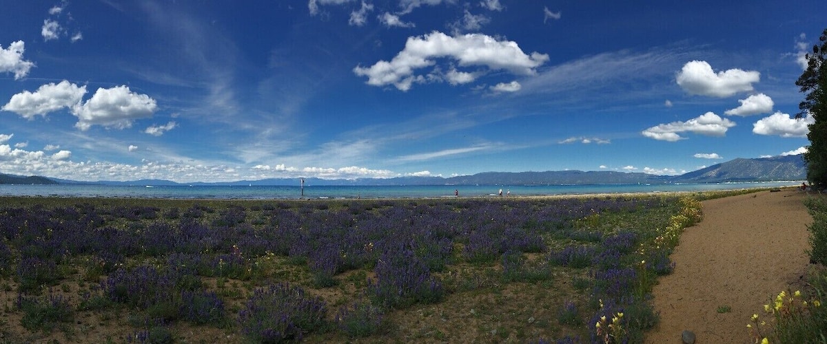 A beach with purple flowers, mountains, and a clear blue sky.