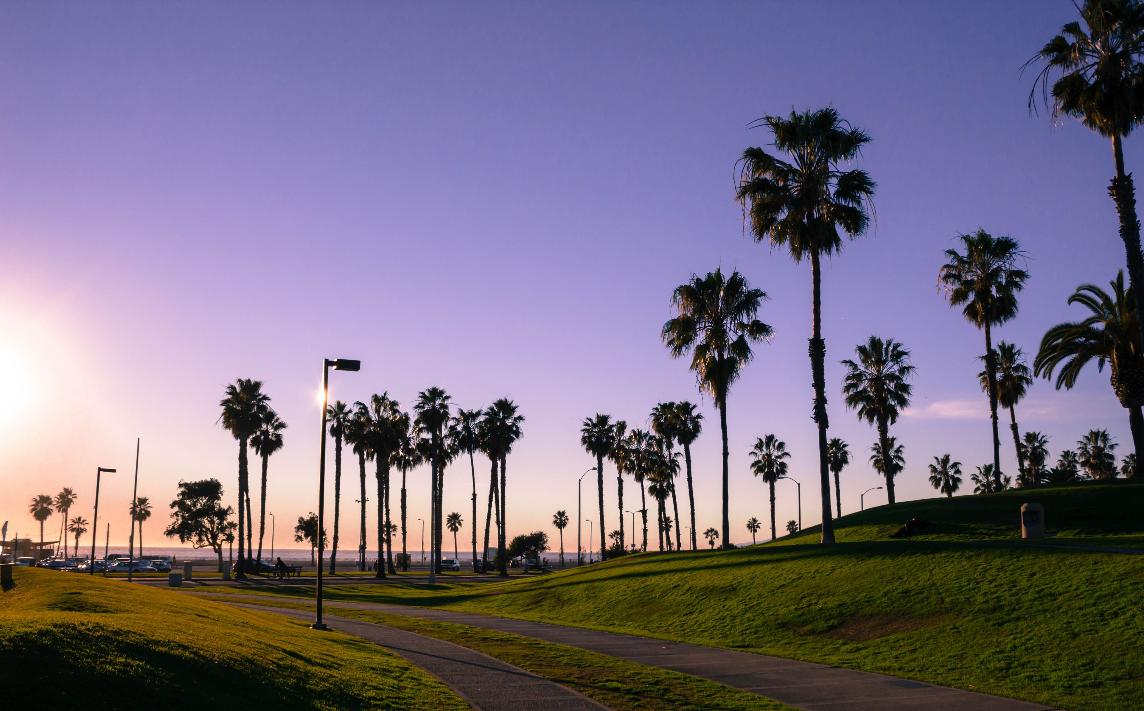 A sunset view of a palm tree-lined promenade with a path and street lamps.