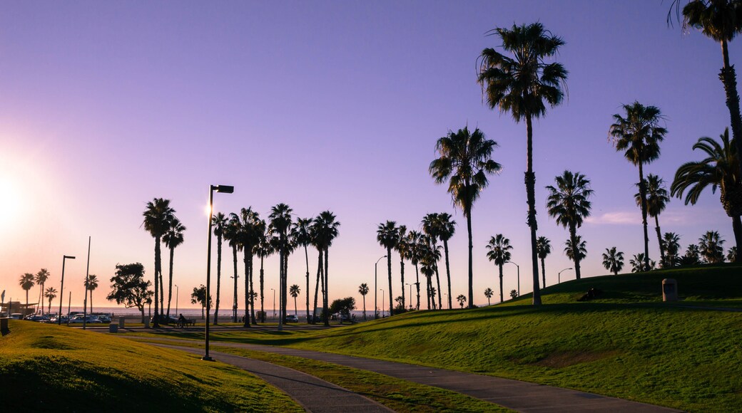 A sunset view of a palm tree-lined promenade with a path and street lamps.