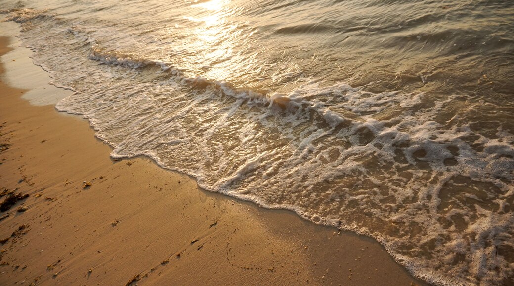 A sandy beach with gentle waves and sunlight reflecting off the water.