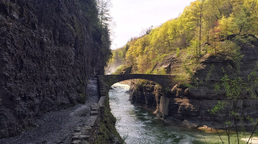 Wow! If you haven't been to this park you need to go. South of Rochester.. in Castile, NY so much to see.