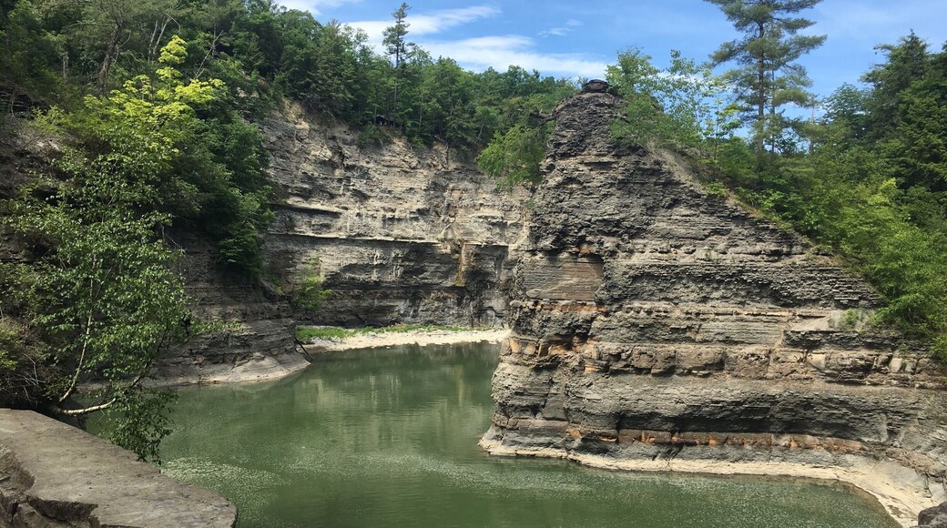 Letchworth State Park- NY