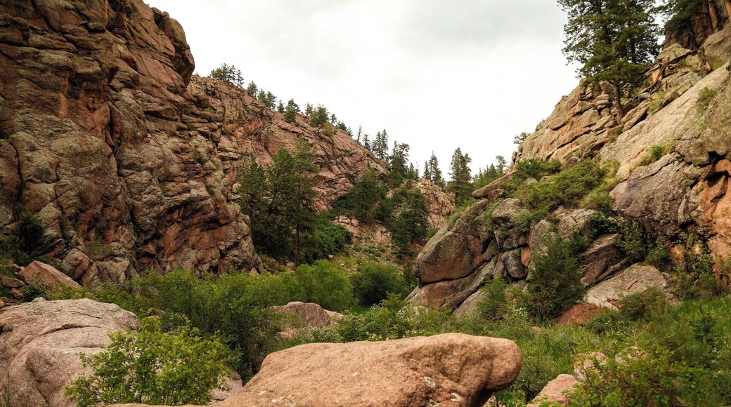 #hiking.. i love hiking being out doors following a trail or just making my own fresh air and the out doors is amazing. i hike every chance i can close to home or travel to find new locations, I'm from akron Ohio but i love to travel this photo was from... just another adventure in colorado