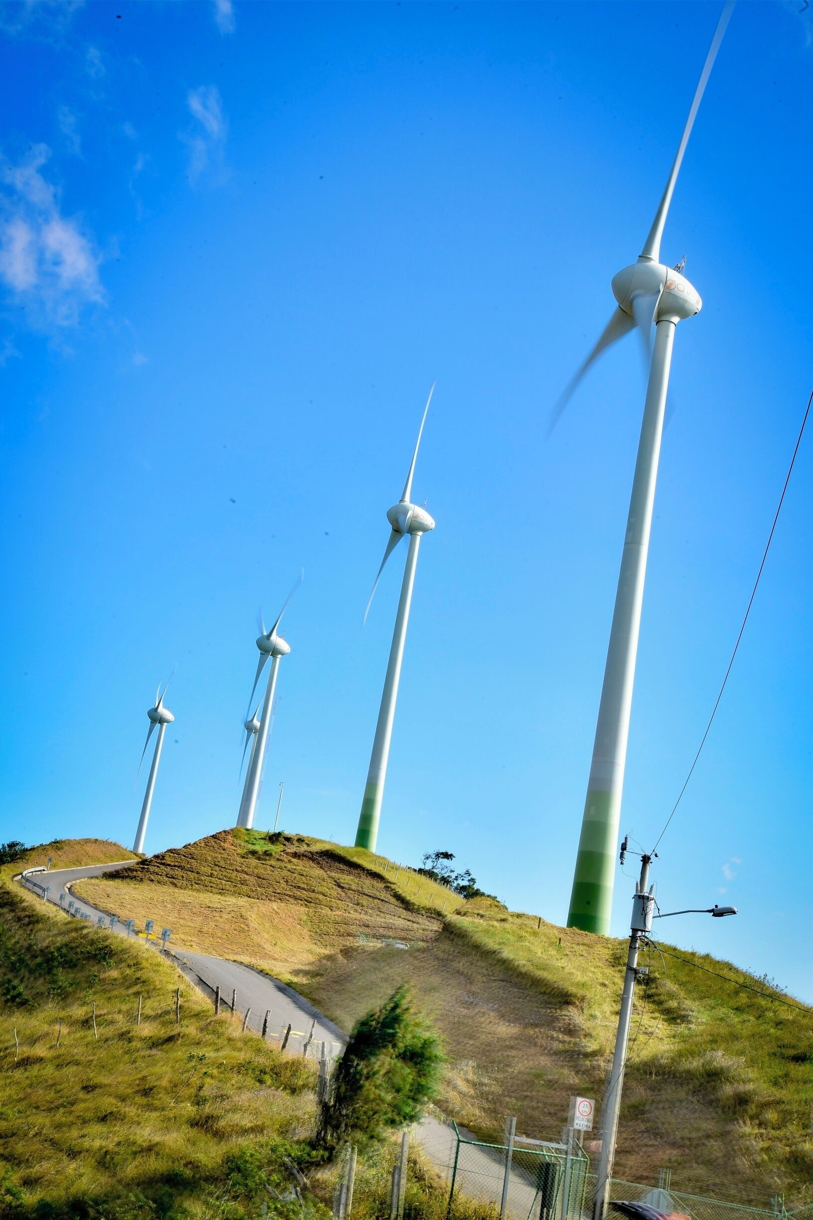 Wind turbines on a hill with a winding road.