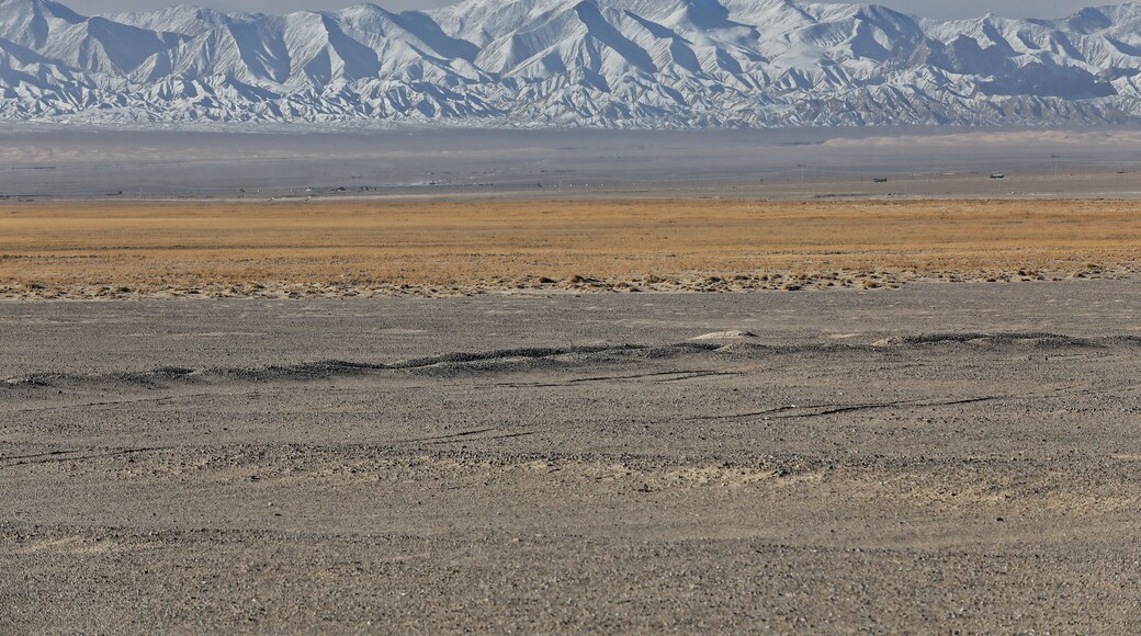 ํํฌ๊ฑฐ์ฐ