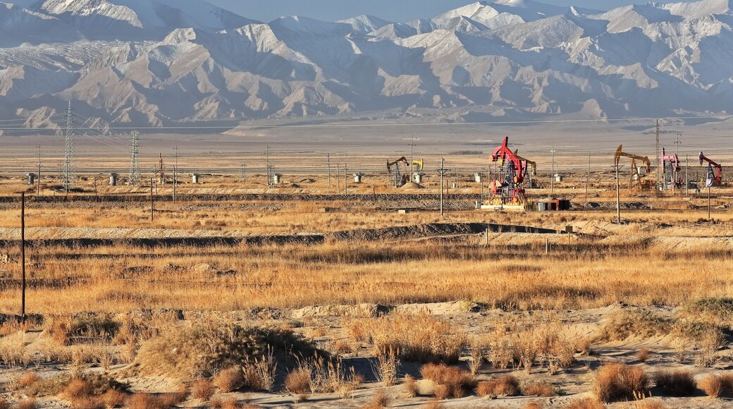 ํํฌ๊ฑฐ์ฐ