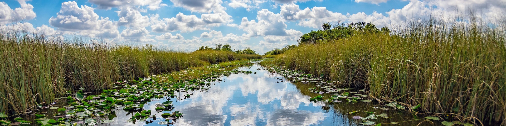 florida everglades view panorama landscape