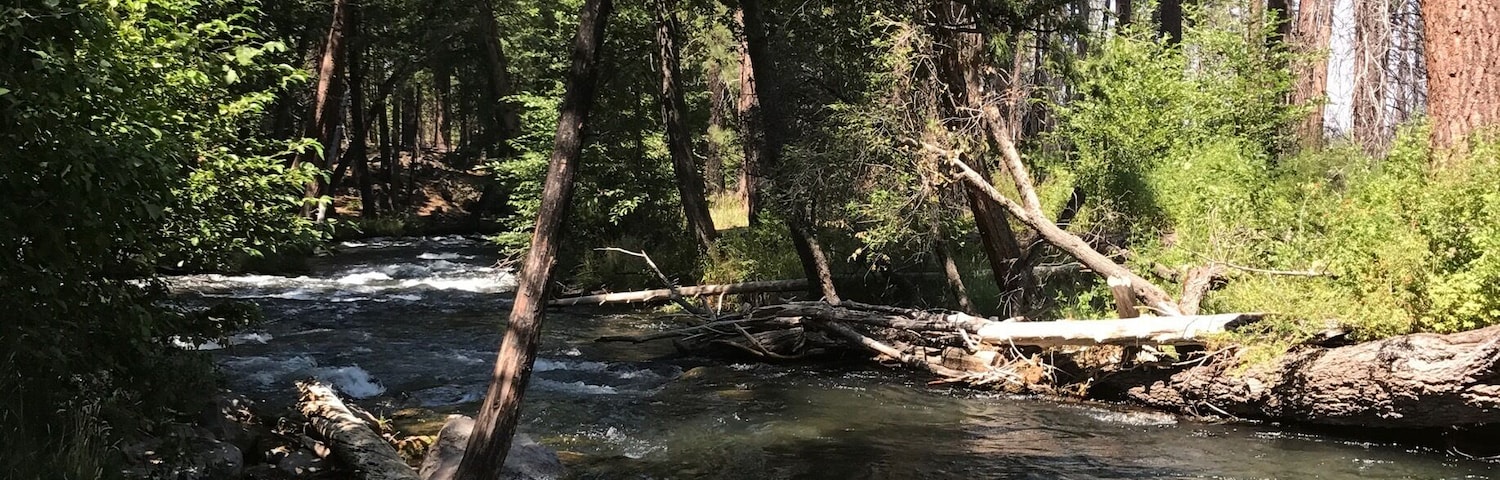 This is actually marked a picnic area, but it is like an Oasis in the desert on this stretch of Hwy 89 Volcanic Legacy