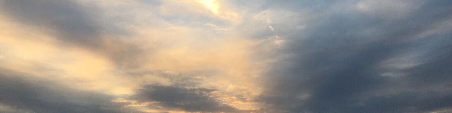 gorgeous tree lined lake created by the US Army Corps of Engineers with their dam on the Chattahoochee River which forms the border between Alabama and Georgia. Excellent camping at the ACOE camp site Cotton Hill Park and views like this to be had #georgia #water #sunset #ACOE #waterlust #AquaTrove
https://www.recreation.gov/camping/cotton-hill/r/campgroundDetails.do?contractCode=NRSO&parkId=71105