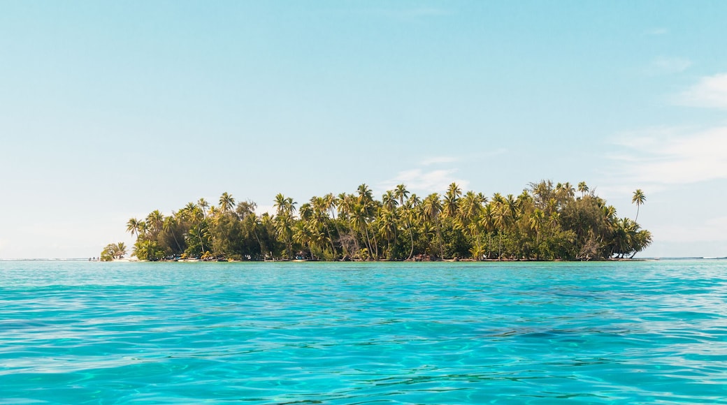 Beach paradise travel vacation view of tropical motu island idyllic crystalline turquoise ocean in Rangiroa atoll, Tuamotu islands, French Polynesia. Tahiti honeymoon destination panoramic banner.