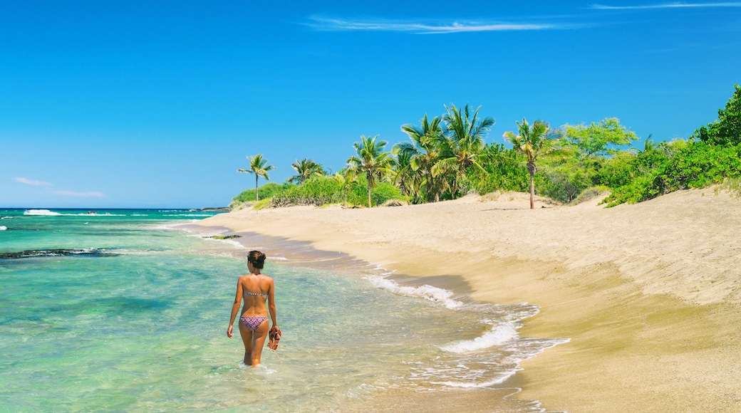 Hawaii beach woman relaxing swimming in bikini in idyllic ocean of lost paradise remote island tropical getaway. Wanderlust and adventure lifestyle banner panorama.