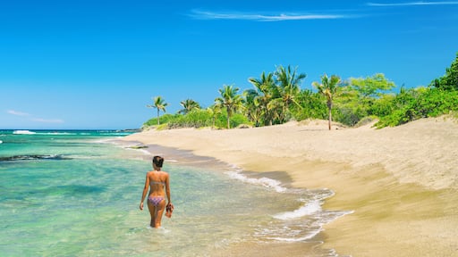 Estate Little Saint James Island