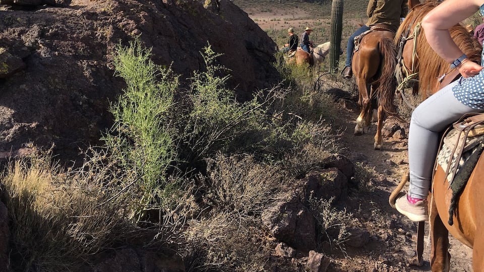 Mountain ride along suicide path
