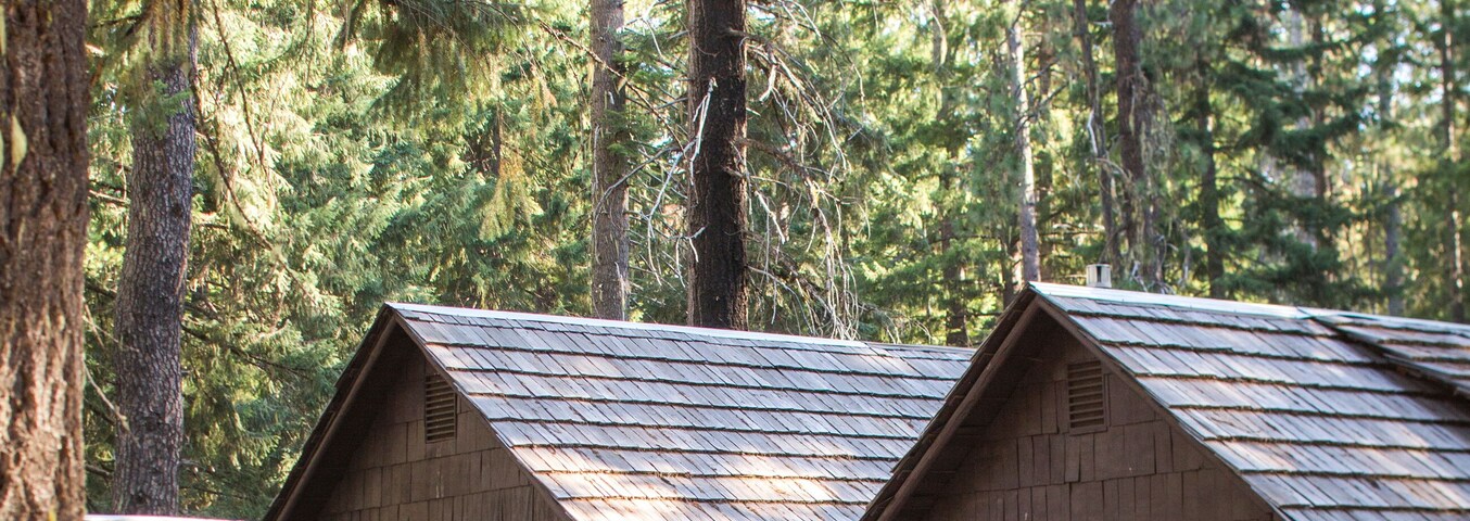 Una hilera de cabañas de madera rodeada de altos pinos.