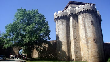 A historic stone tower with battlements, surrounded by lush greenery and a clear blue sky.