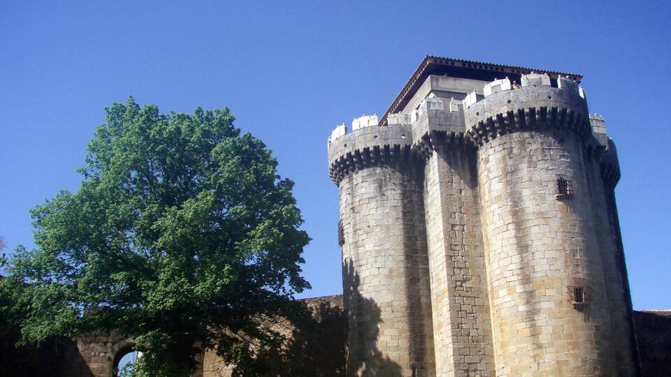 A historic stone tower with battlements, surrounded by lush greenery and a clear blue sky.