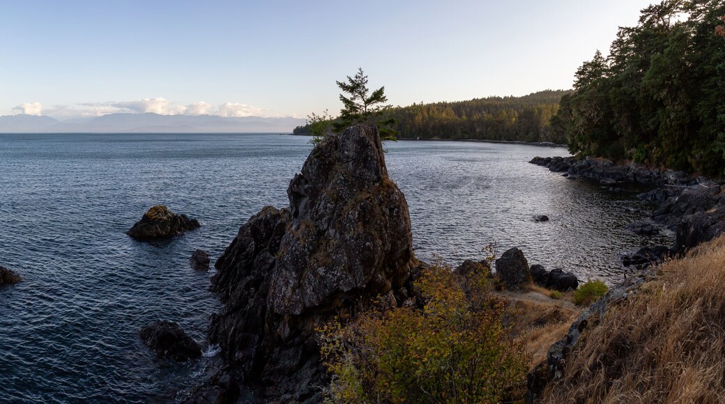 Creyke Point, East Sooke Regional Park, Sooke, Vancouver Island, British Columbia, Canada. Beautiful panoramic landscape view of a rocky shore during a sunny summer sunset.