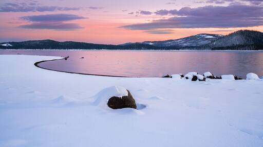 ๋ ์ดํฌ ์๋ง๋ ํ๋์๋ผ