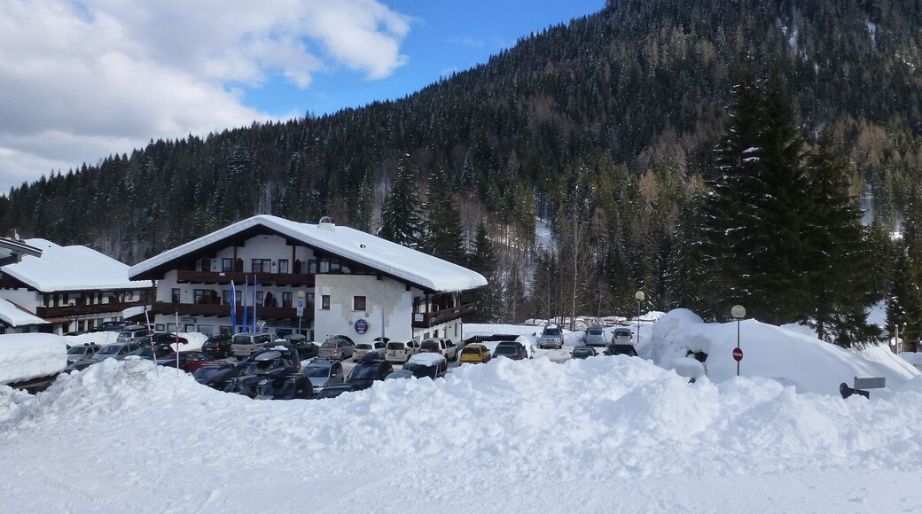 32020 Piè Falcade BL, Italy