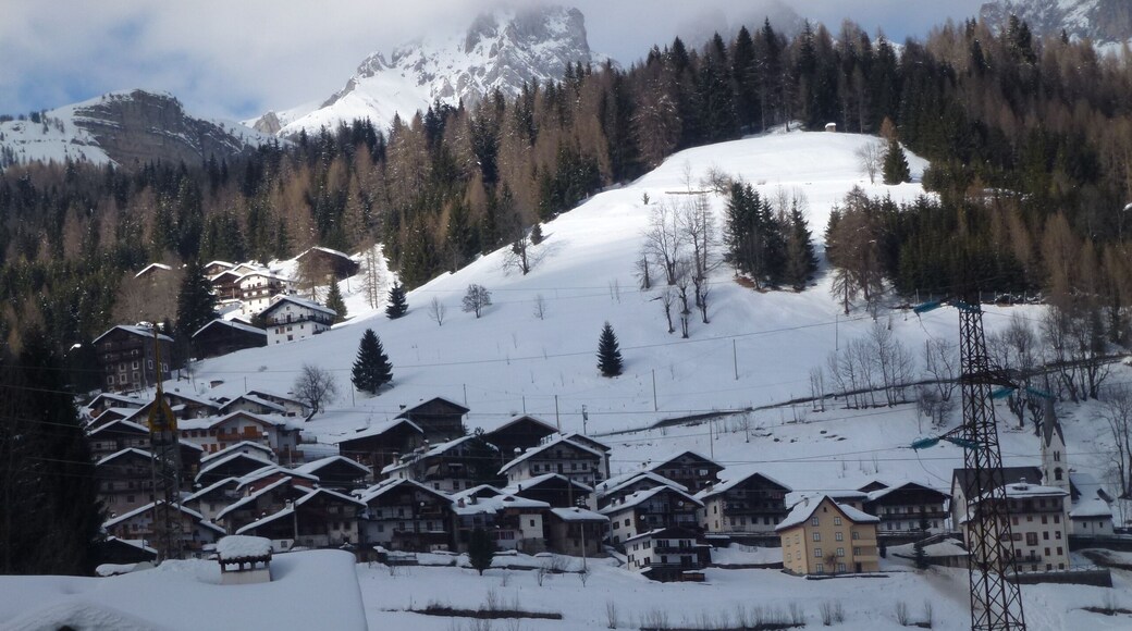 32020 Piè Falcade BL, Italy