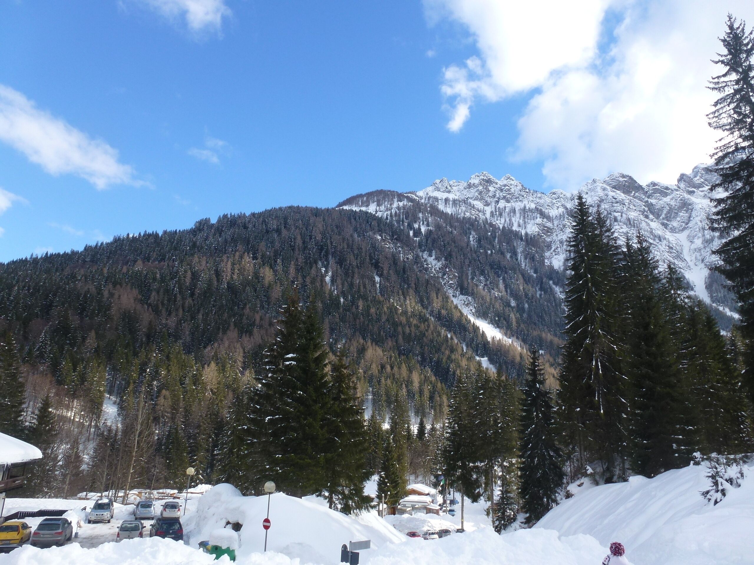 32020 Piè Falcade BL, Italy