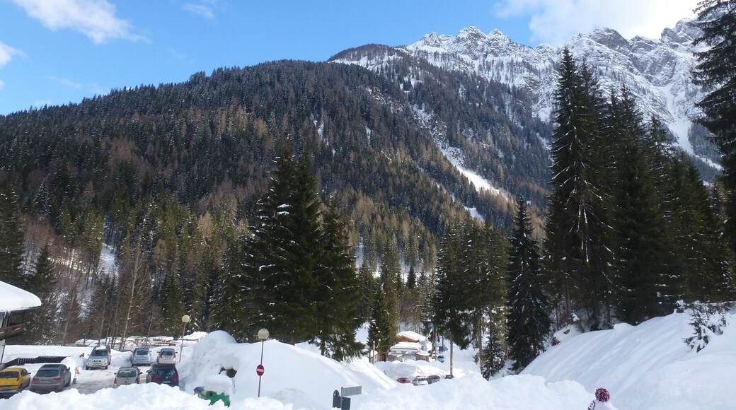 32020 Piè Falcade BL, Italy