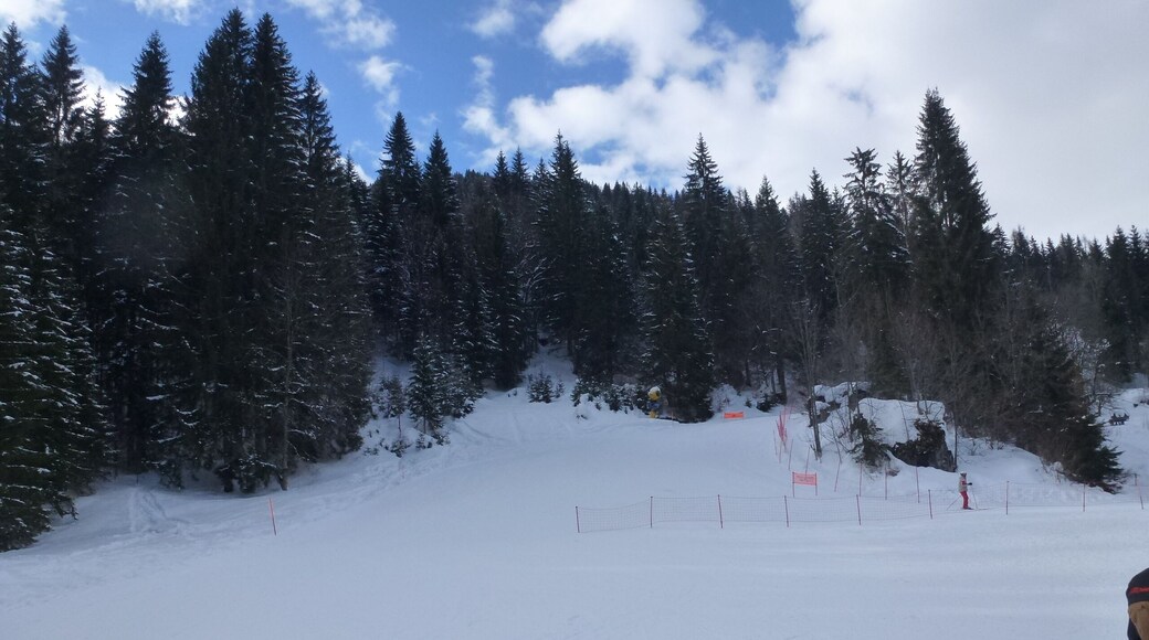 32020 Piè Falcade BL, Italy