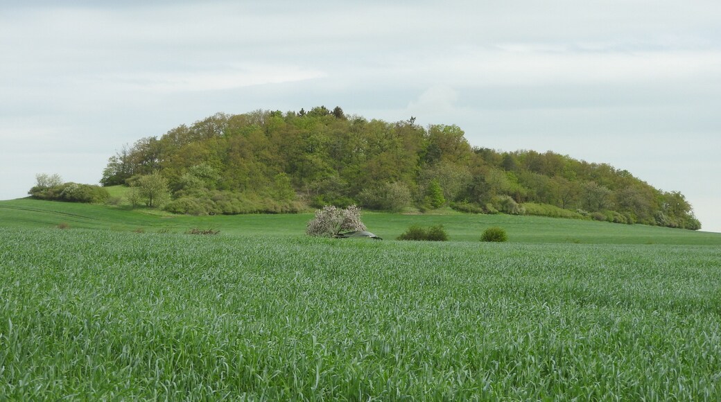 Hügel bei Förthen, Thüringen