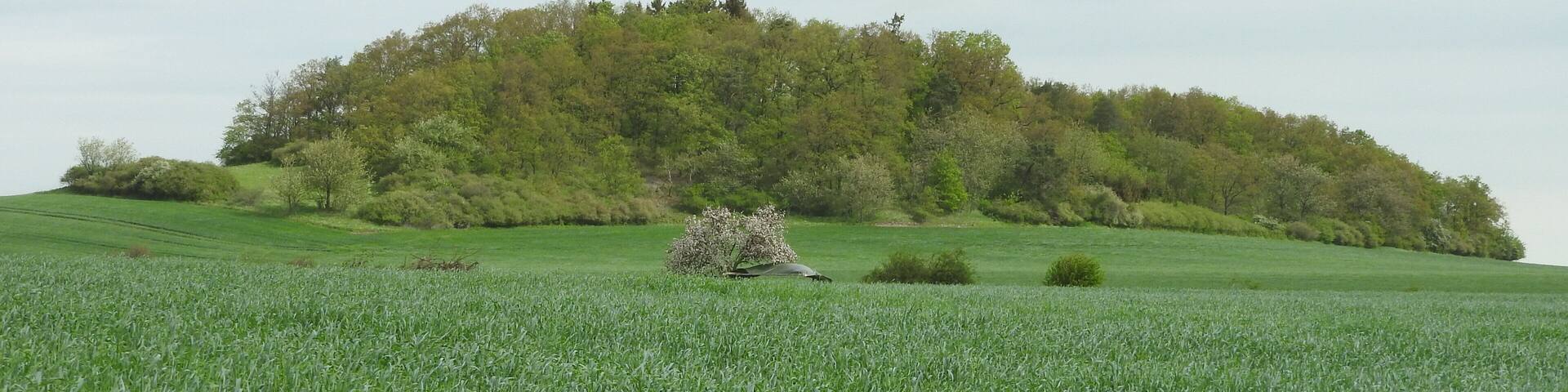 Hügel bei Förthen, Thüringen