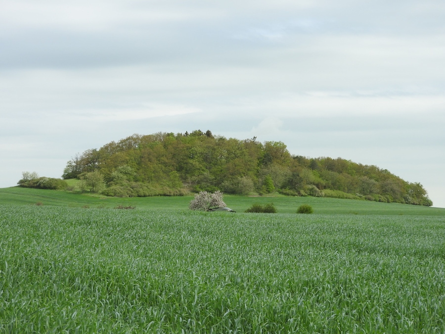 Hügel bei Förthen, Thüringen