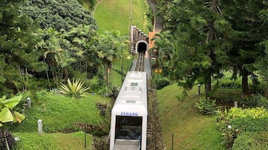 Um trem descendo uma encosta verde íngreme, com uma paisagem urbana ao fundo.