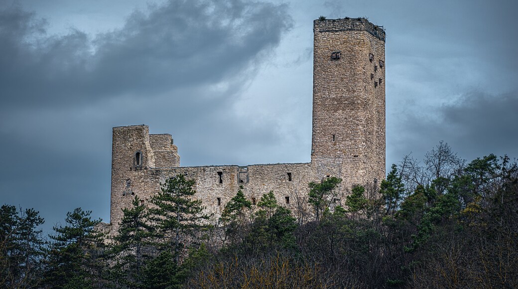 Burg Ehrenstein
