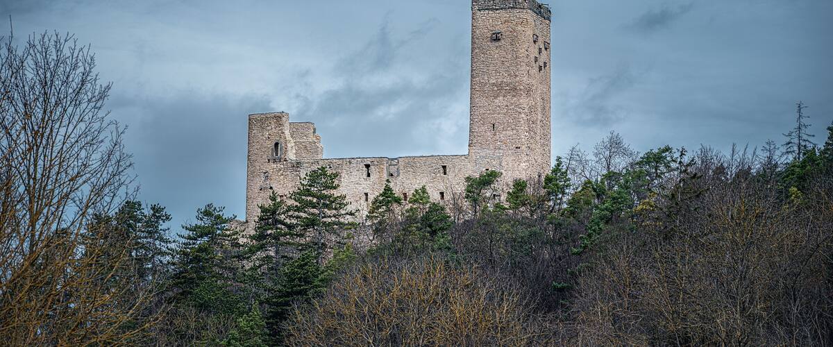 A medieval castle with a tall tower, surrounded by dense forest.